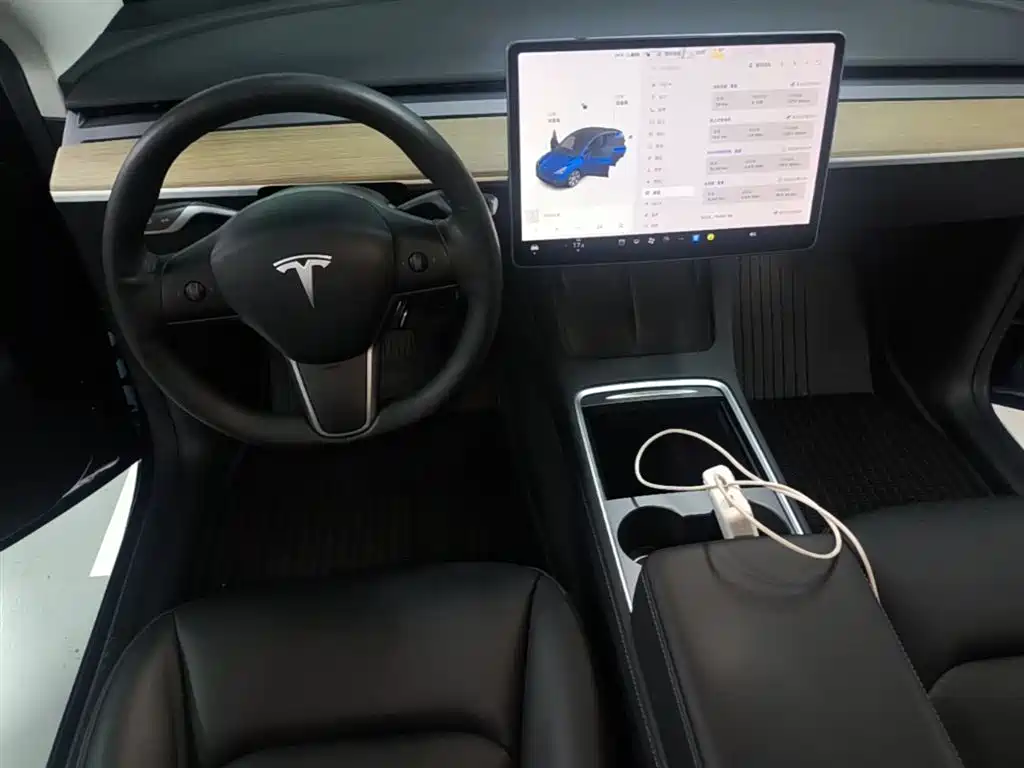 Tesla Model Y — фото 10