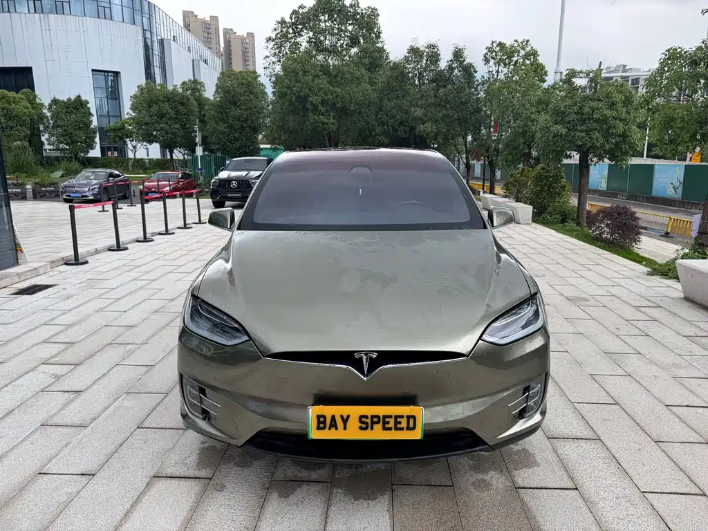 Tesla Model X — фото 2