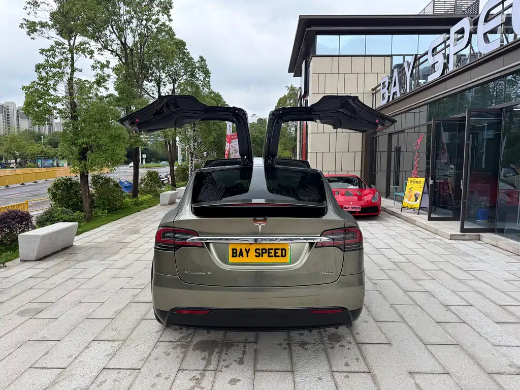 Tesla Model X — фото 11
