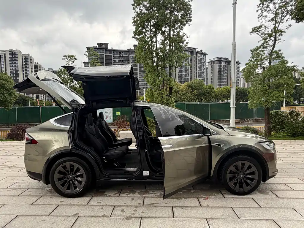 Tesla Model X — фото 17