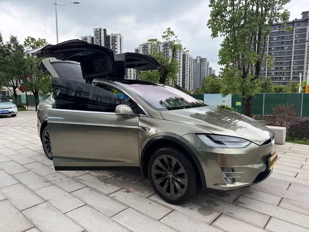 Tesla Model X — фото 4