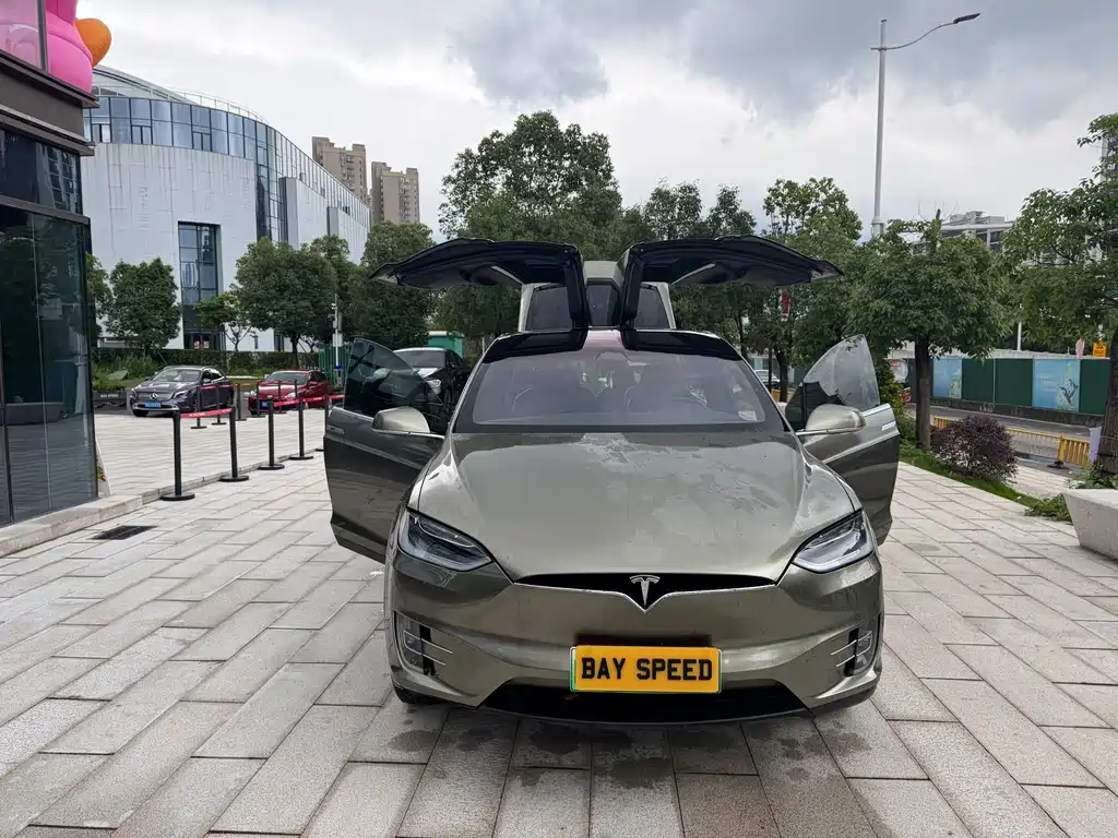 Tesla Model X — фото 5
