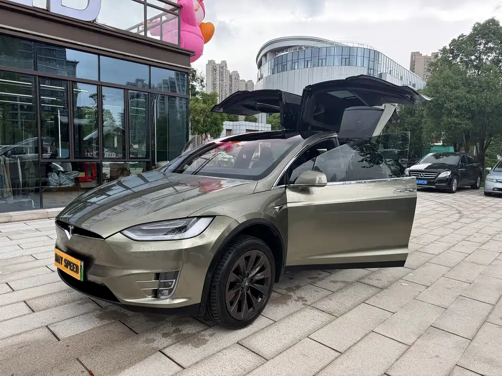 Tesla Model X — фото 6