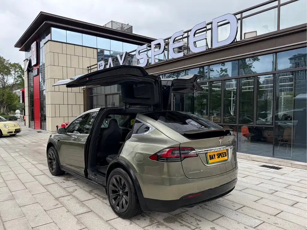 Tesla Model X — фото 10