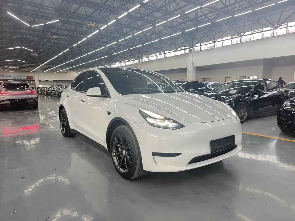 Tesla Model Y — фото 3