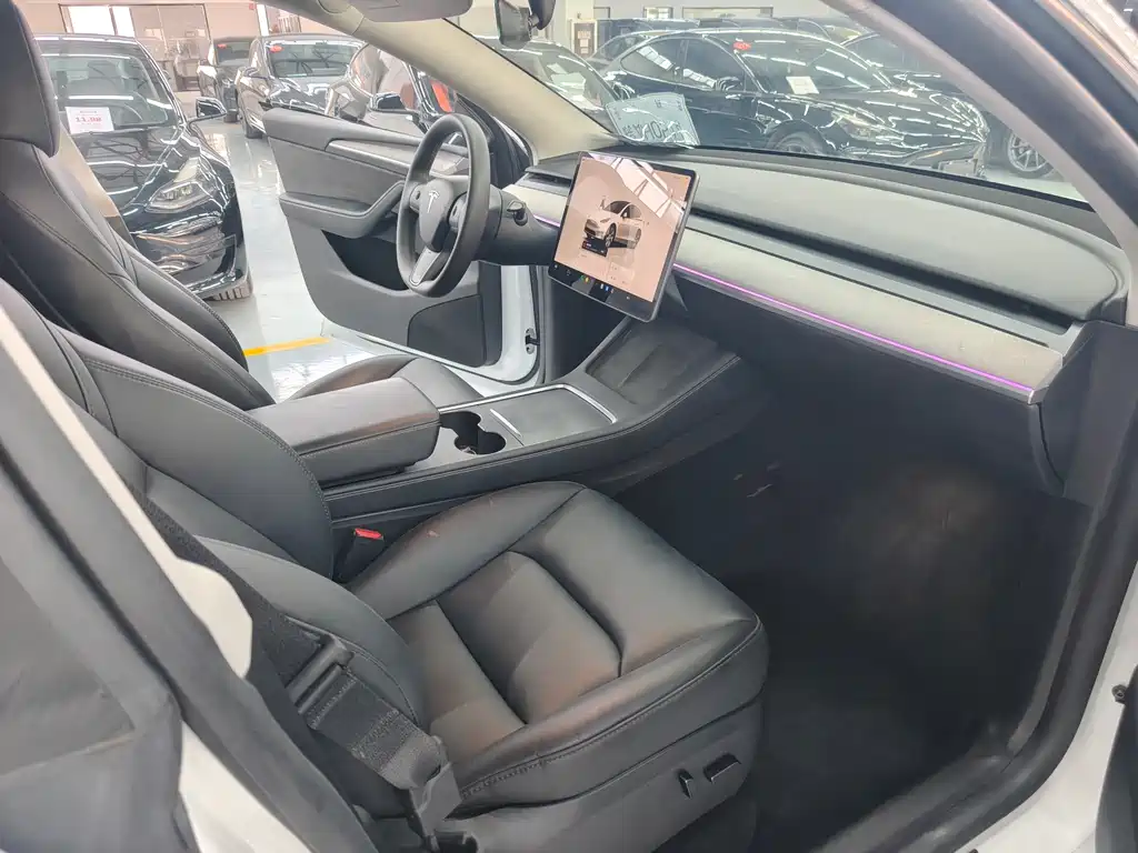 Tesla Model Y — фото 6