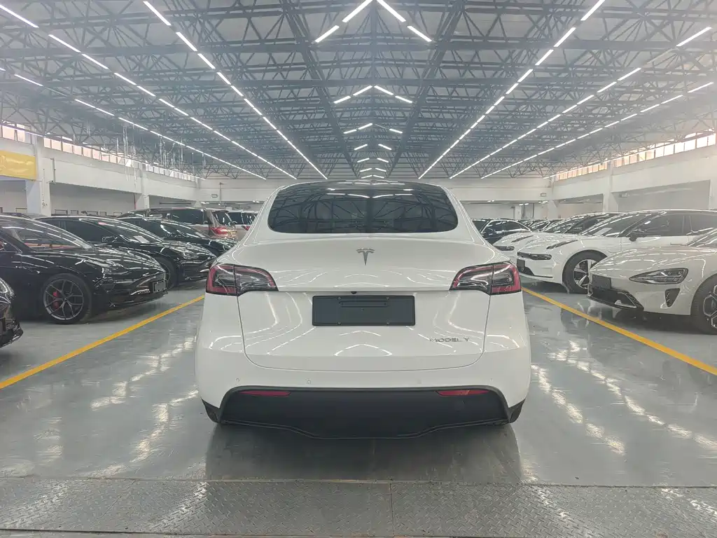 Tesla Model Y — фото 9