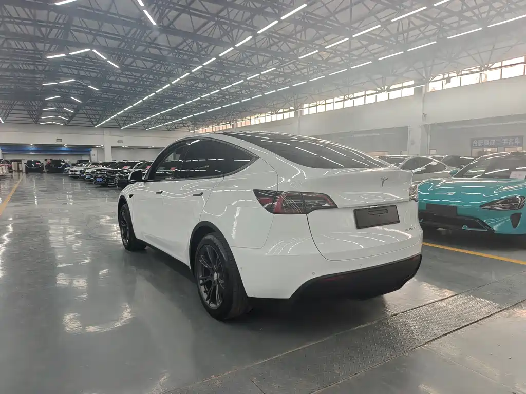 Tesla Model Y — фото 10