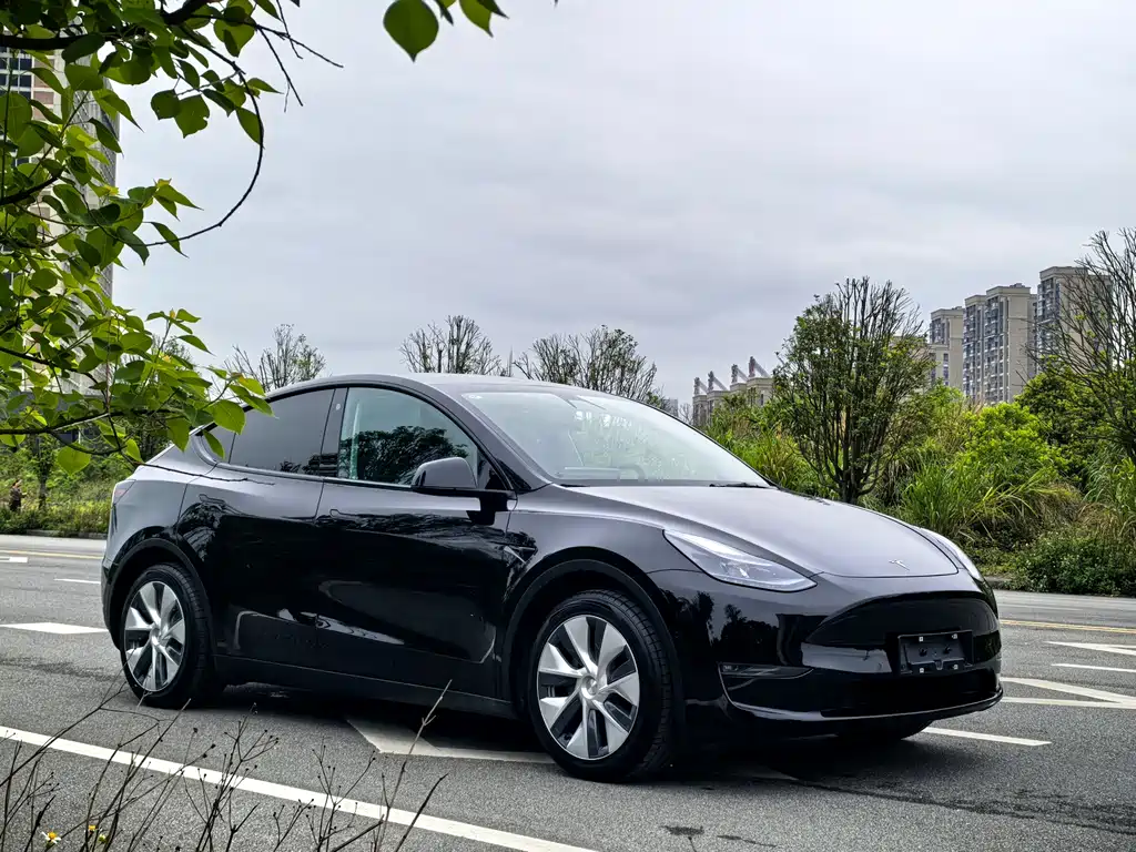 Tesla Model Y — фото 3