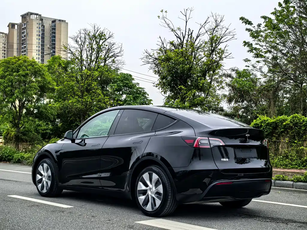 Tesla Model Y — фото 4
