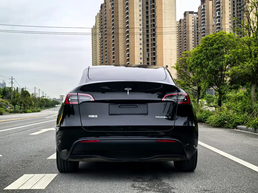 Tesla Model Y — фото 5