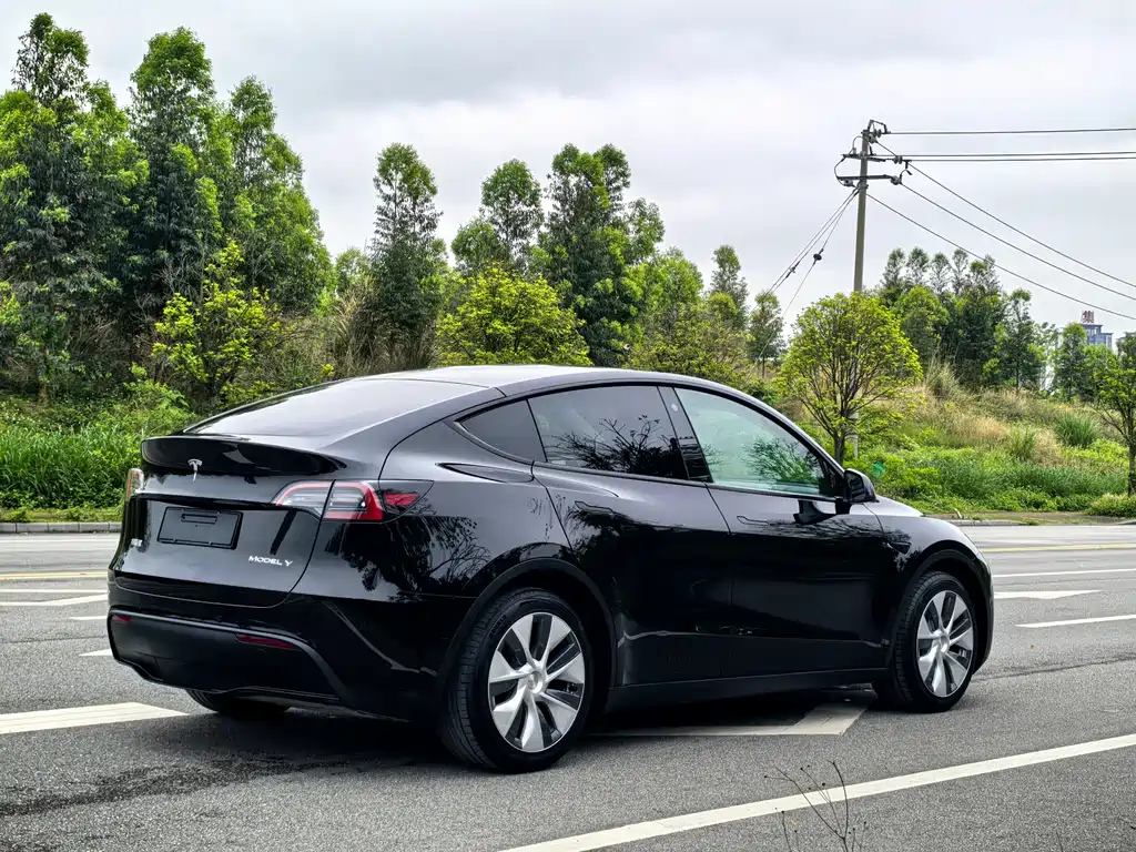 Tesla Model Y — фото 6