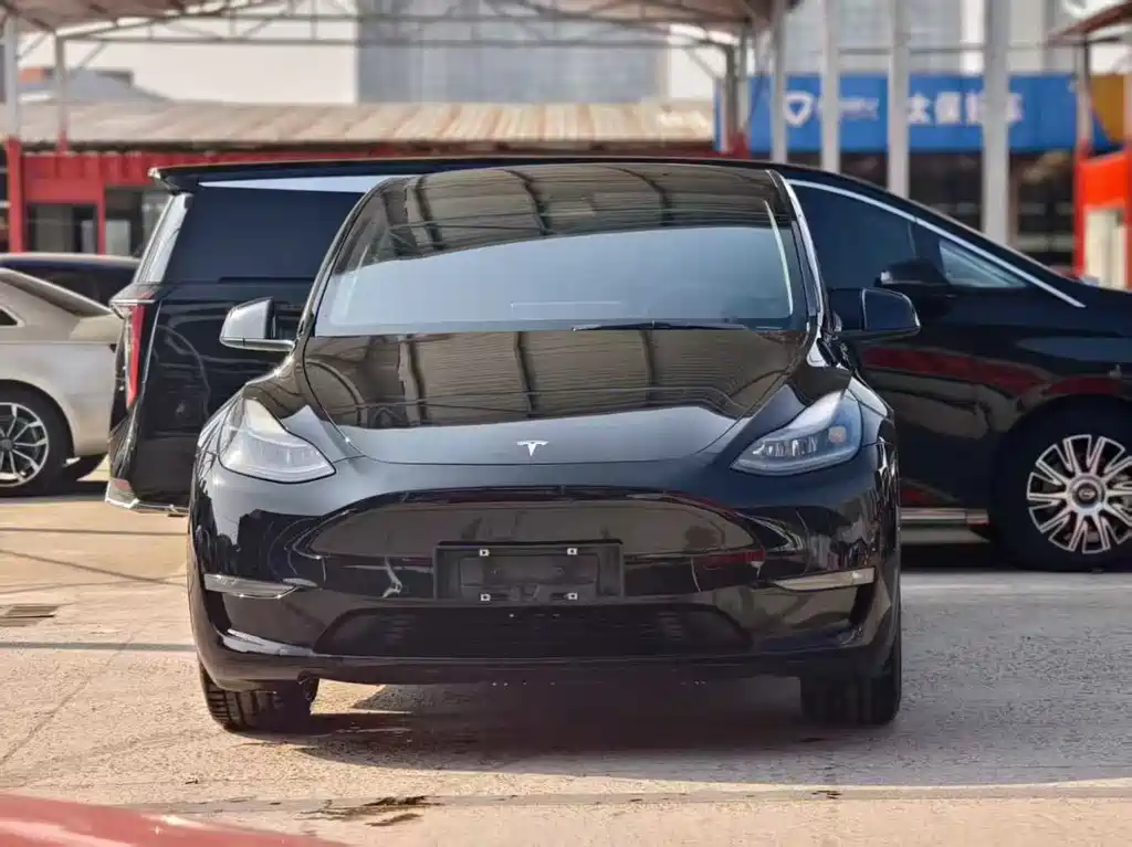 Tesla Model Y — фото 2