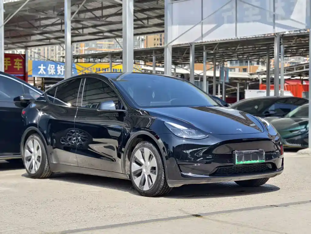 Tesla Model Y — фото 3