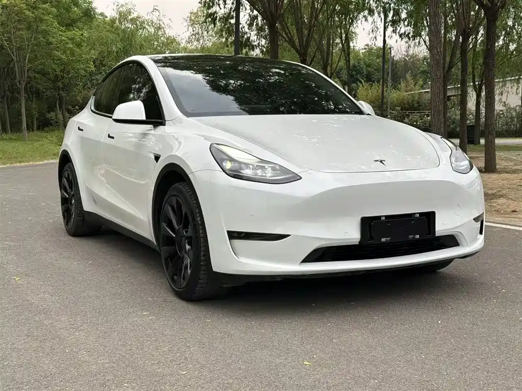 Tesla Model Y — фото 4