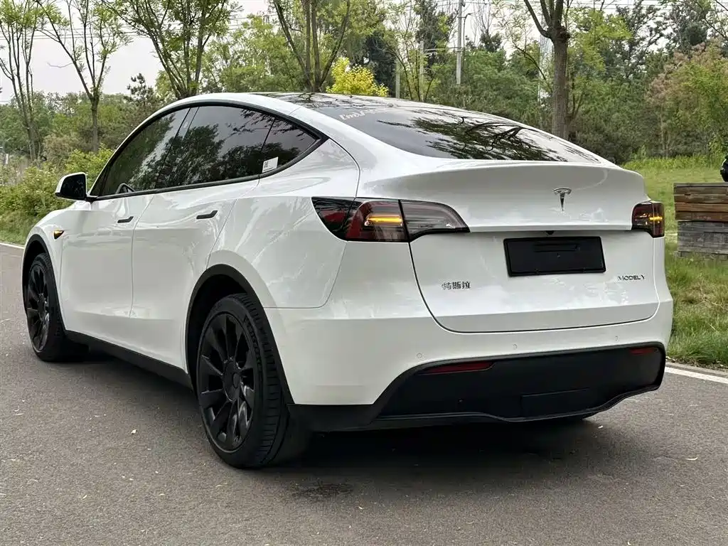 Tesla Model Y — фото 5