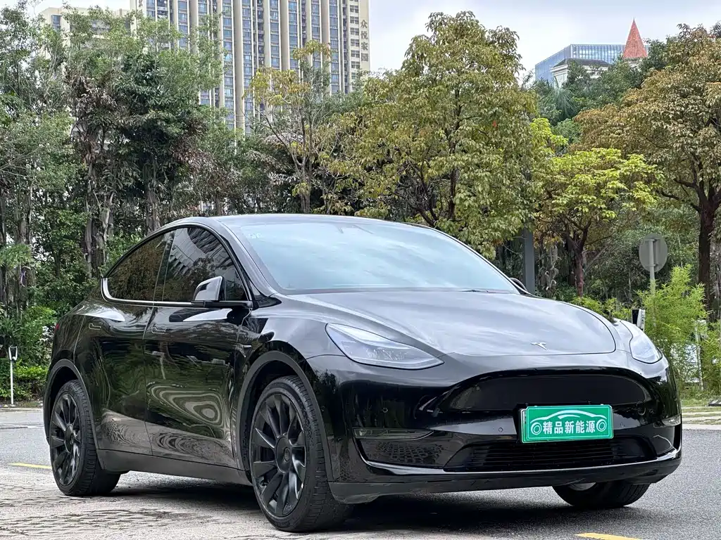 Tesla Model Y — фото 3