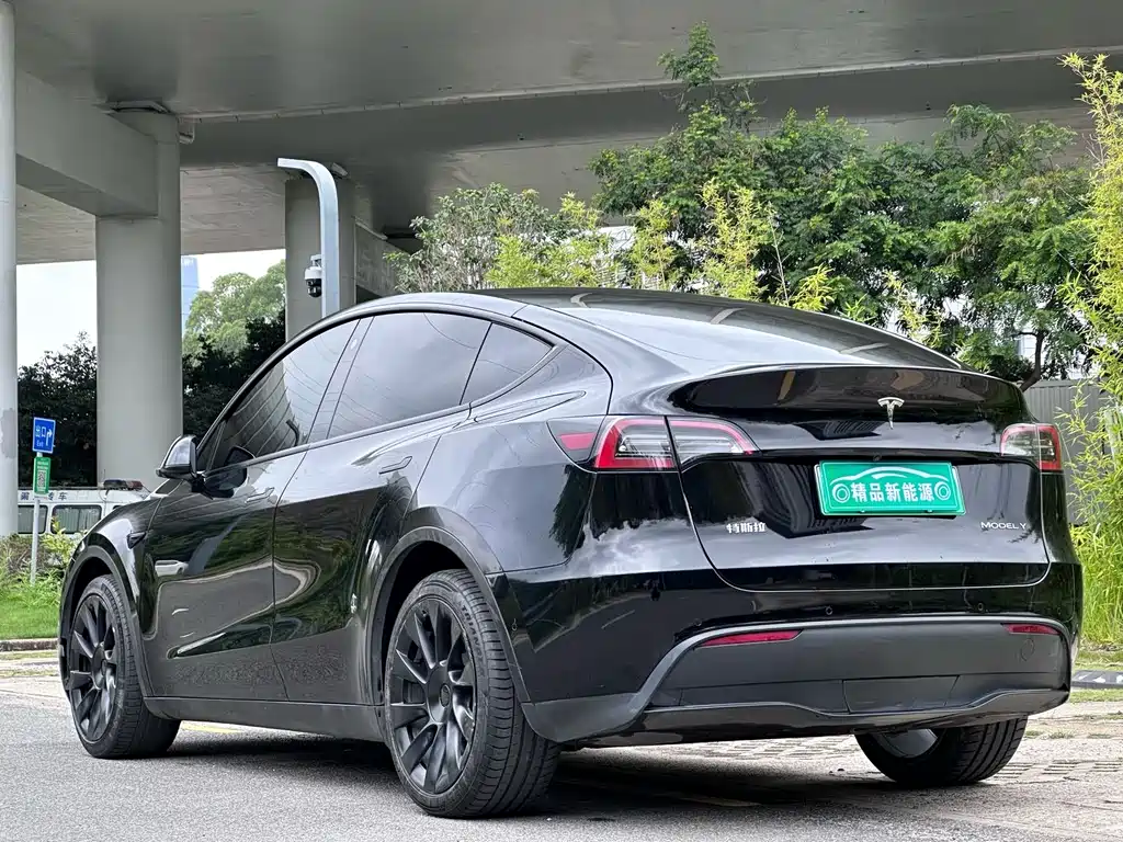 Tesla Model Y — фото 4