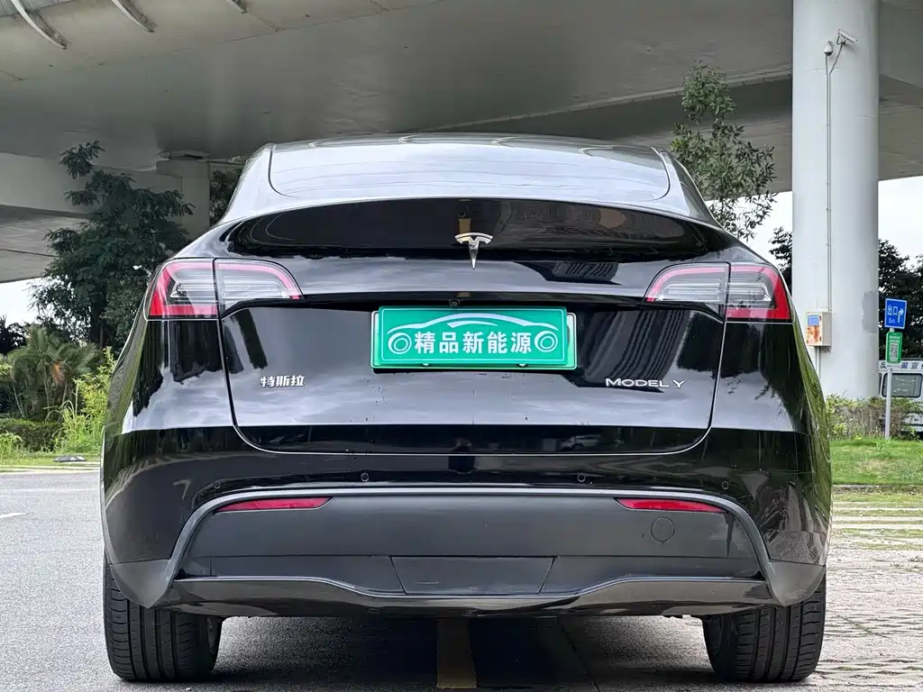 Tesla Model Y — фото 5