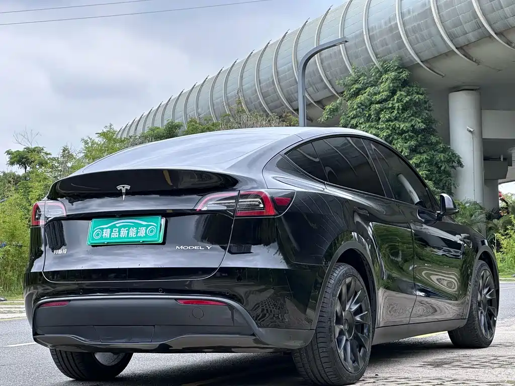 Tesla Model Y — фото 6
