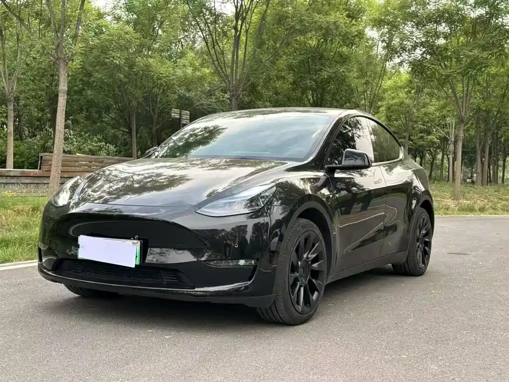 Tesla Model Y — фото 2