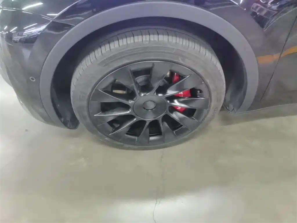 Tesla Model Y — фото 23