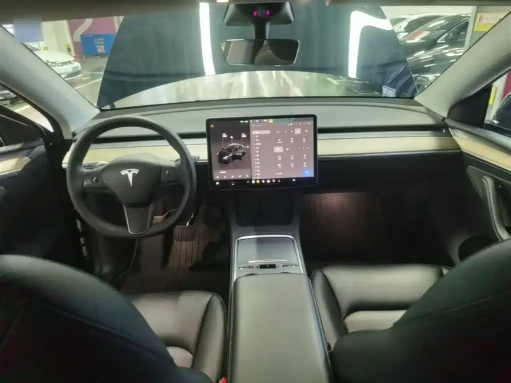 Tesla Model Y — фото 10