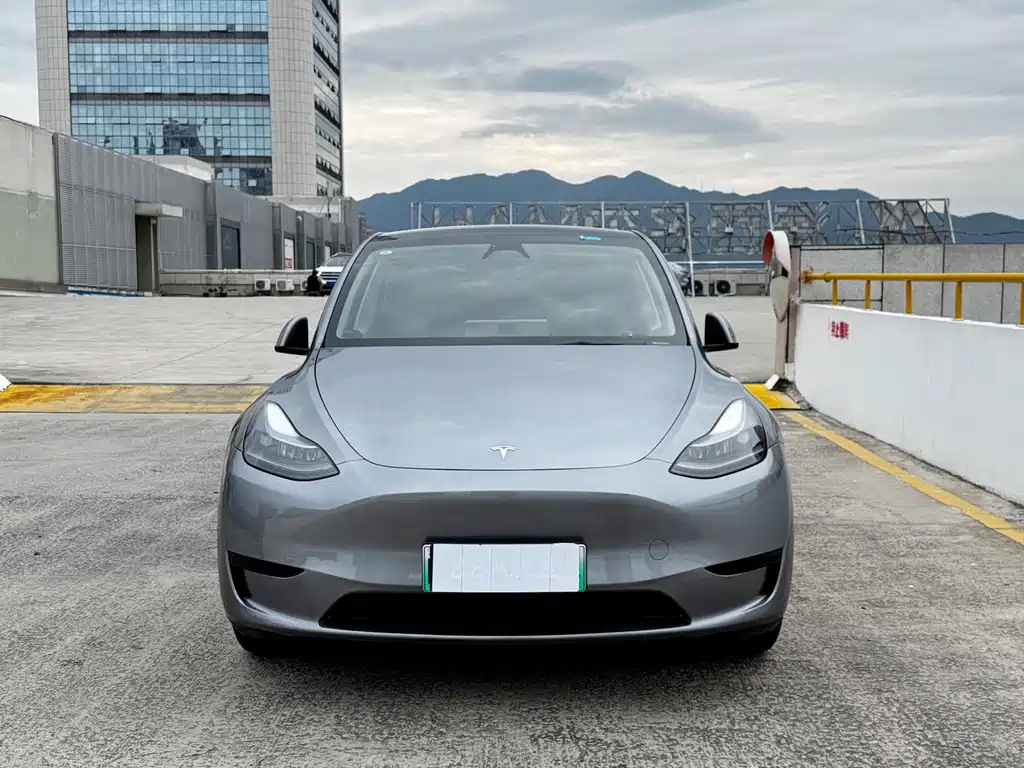 Tesla Model Y — фото 2