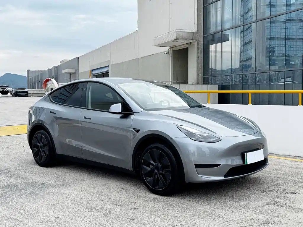 Tesla Model Y — фото 3