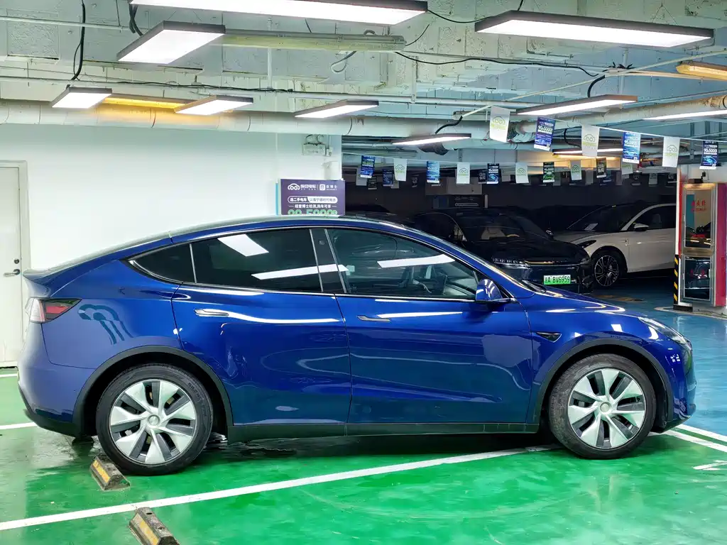 Tesla Model Y — фото 6