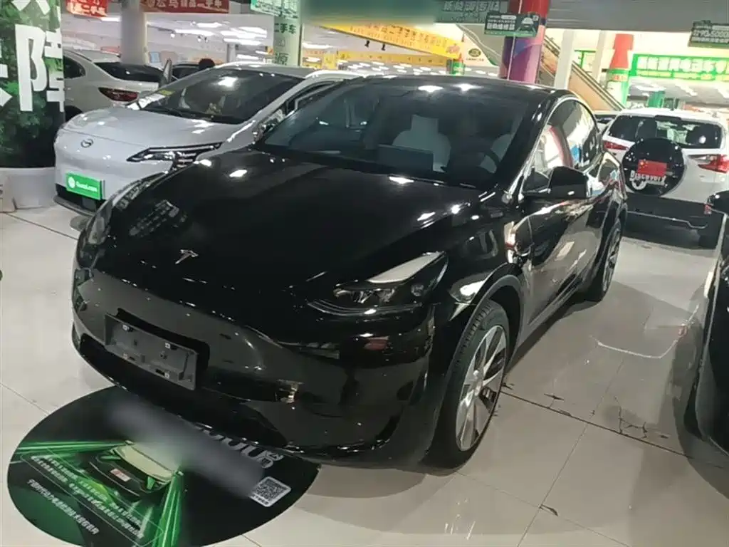 Tesla Model Y — фото 2