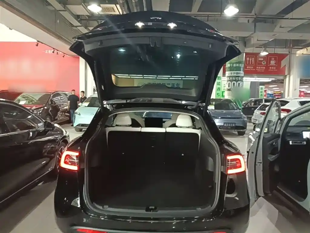 Tesla Model Y — фото 19