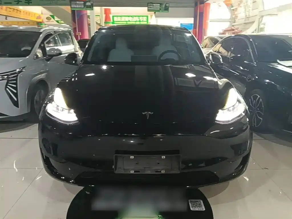 Tesla Model Y — фото 3