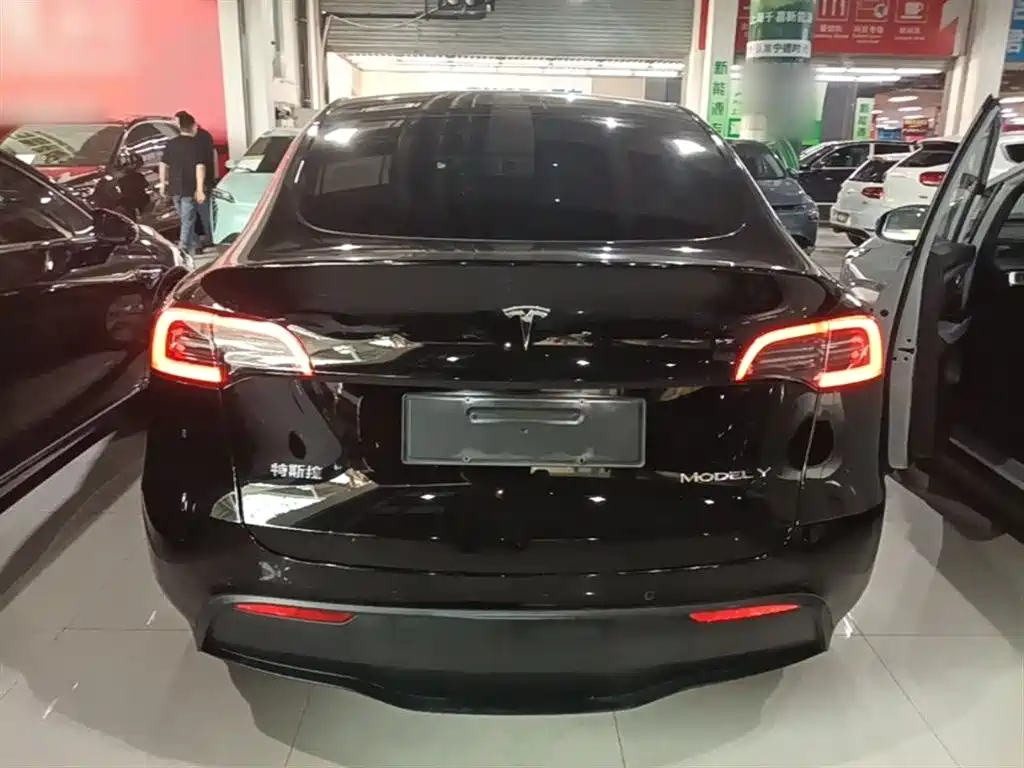 Tesla Model Y — фото 6