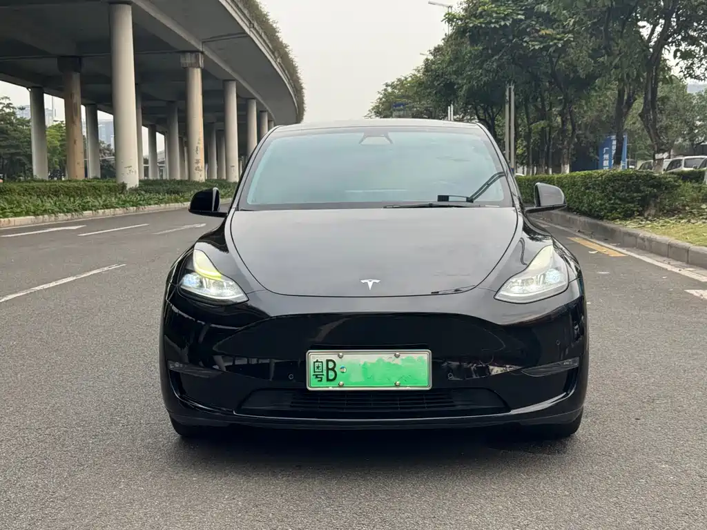 Tesla Model Y — фото 2