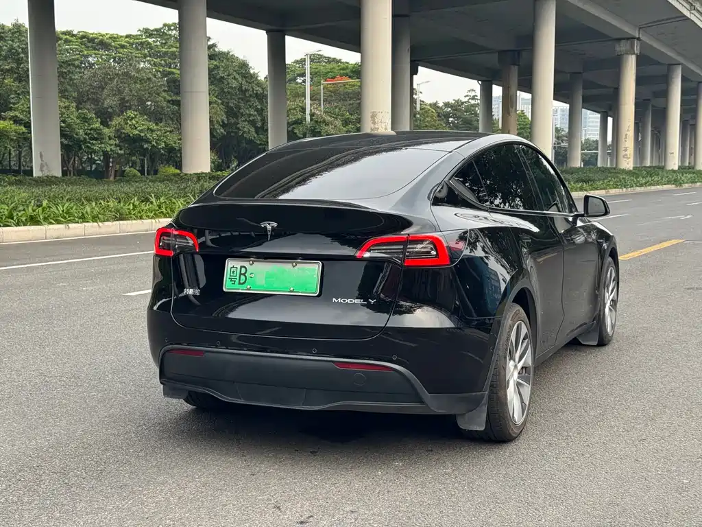 Tesla Model Y — фото 3