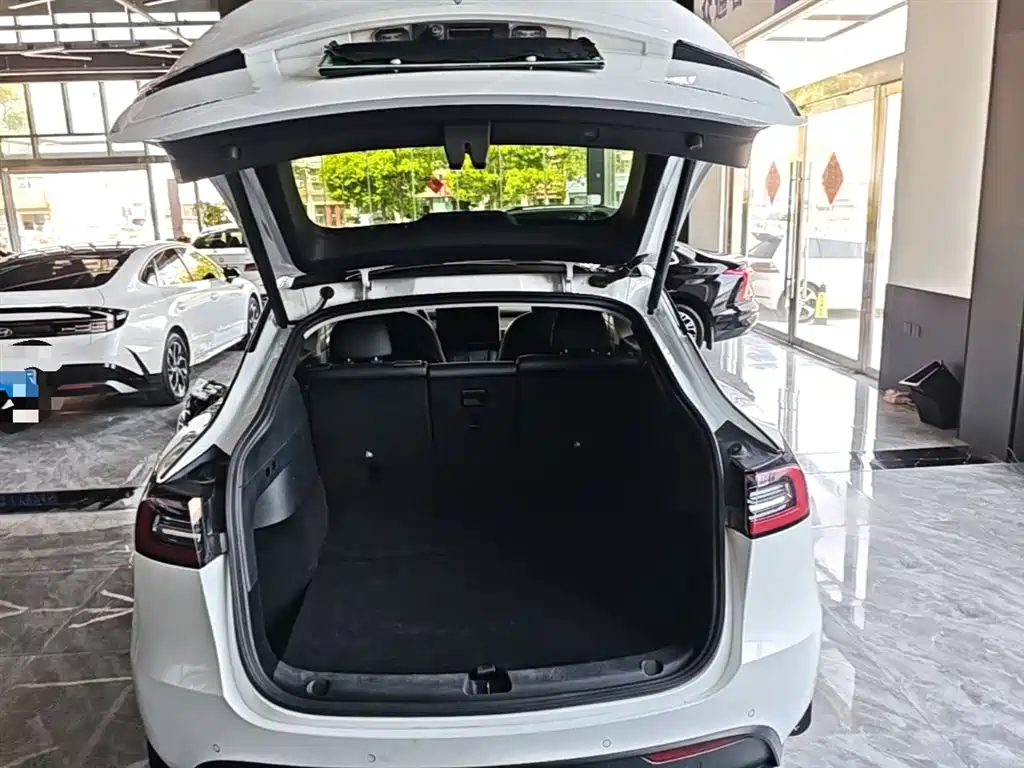 Tesla Model Y — фото 19