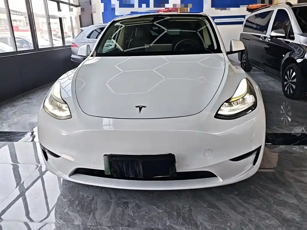 Tesla Model Y — фото 3