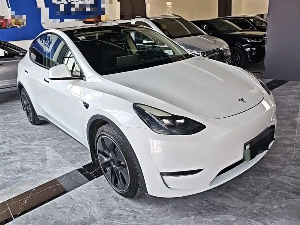 Tesla Model Y — фото 4