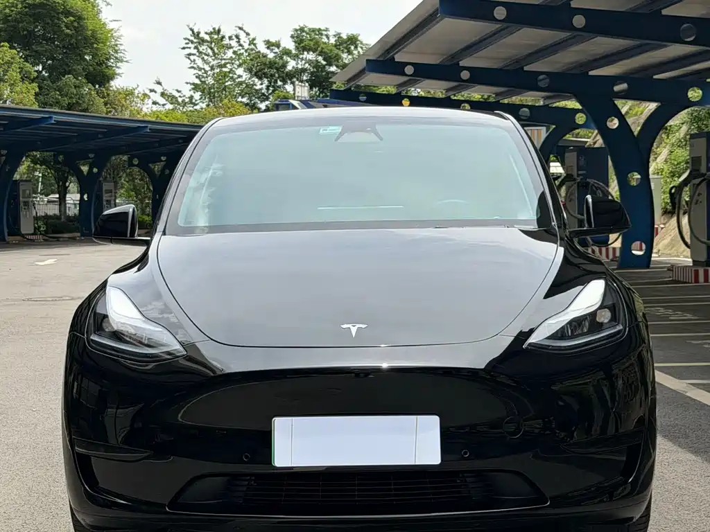 Tesla Model Y — фото 2