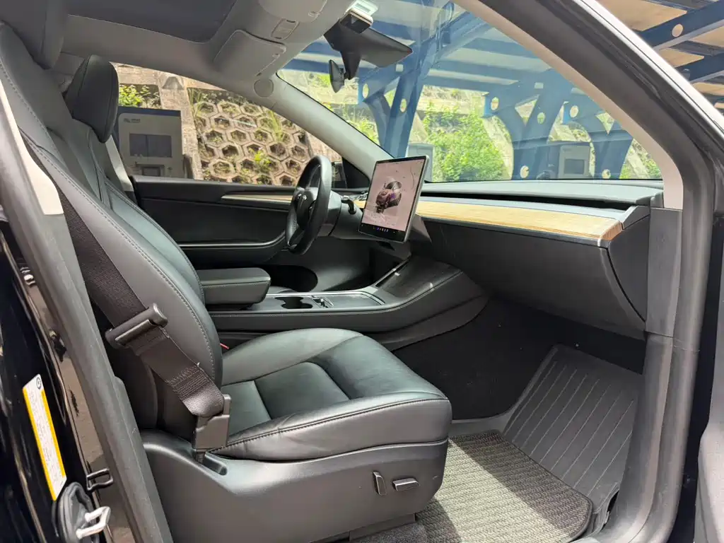 Tesla Model Y — фото 8