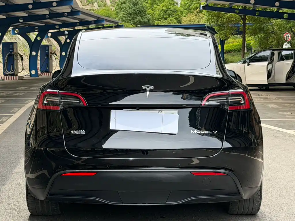 Tesla Model Y — фото 10
