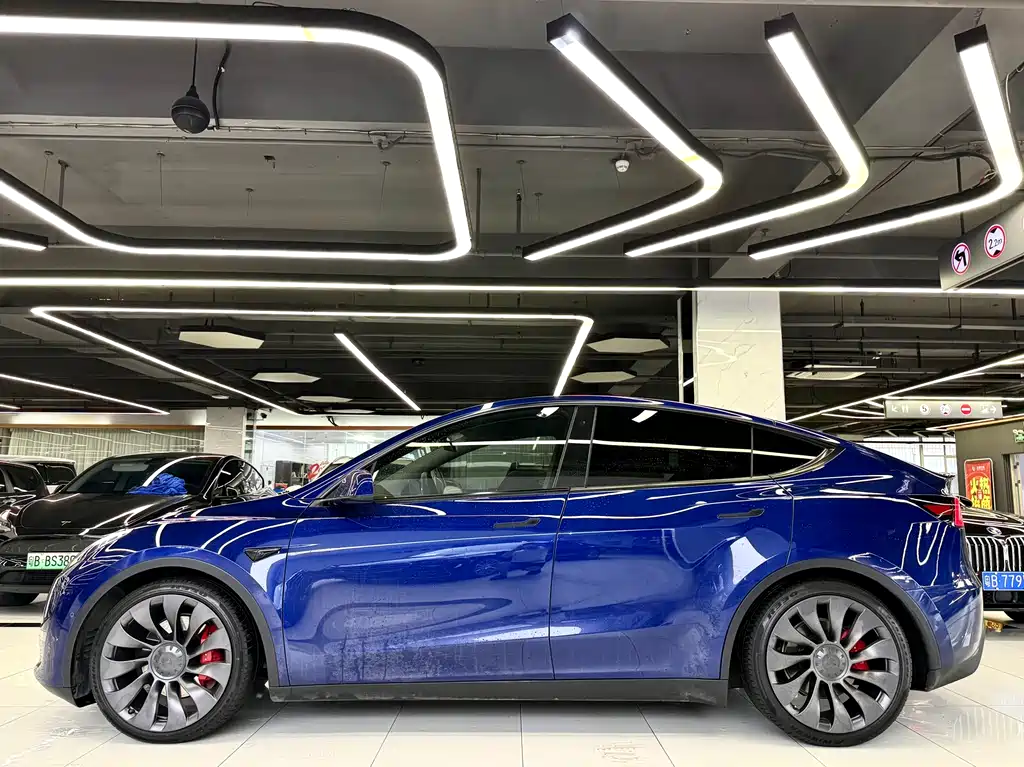 Tesla Model Y — фото 2