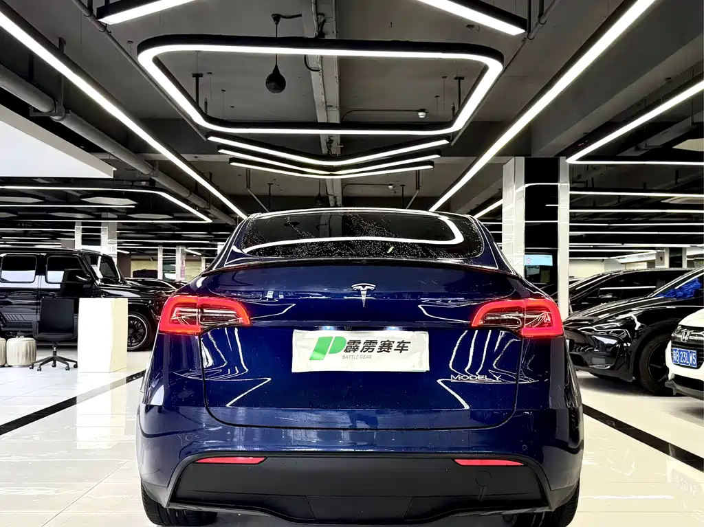 Tesla Model Y — фото 3