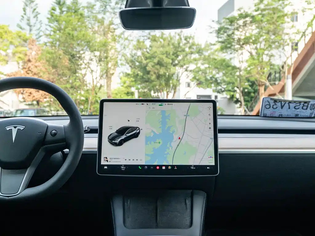 Tesla Model Y — фото 10