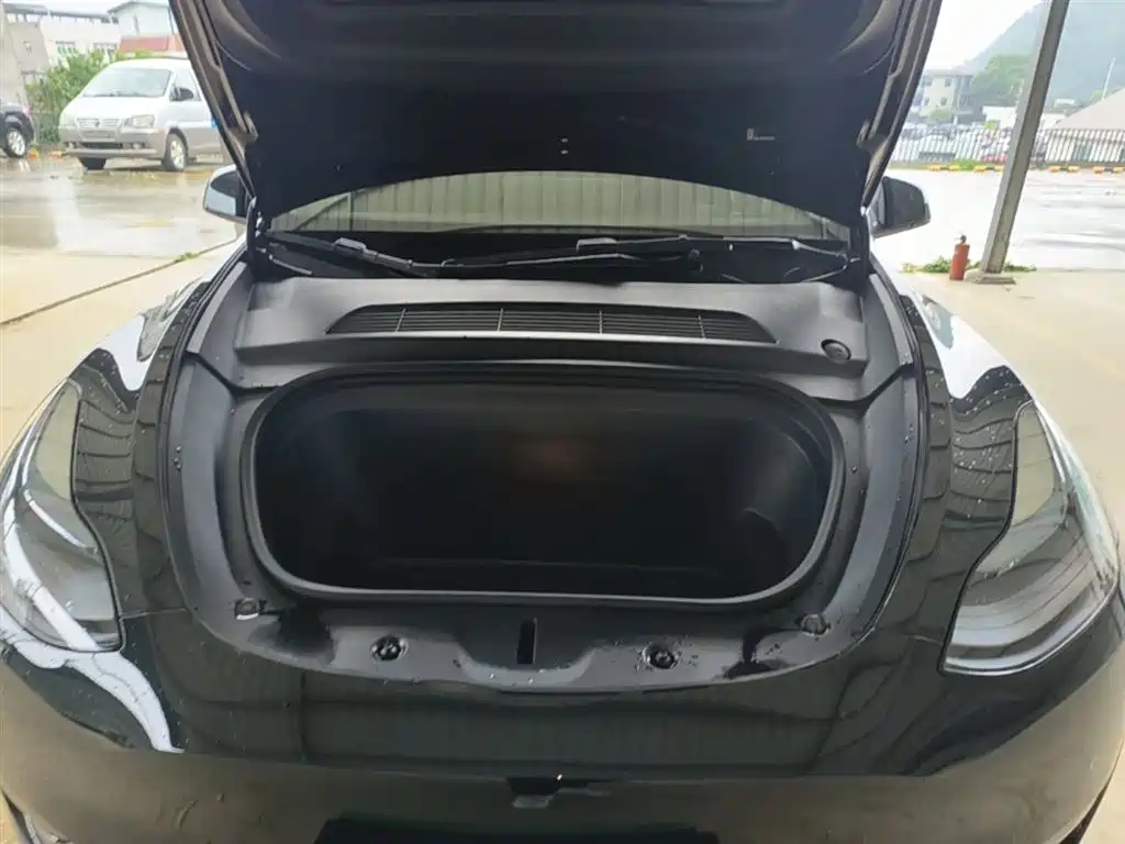 Tesla Model Y — фото 20