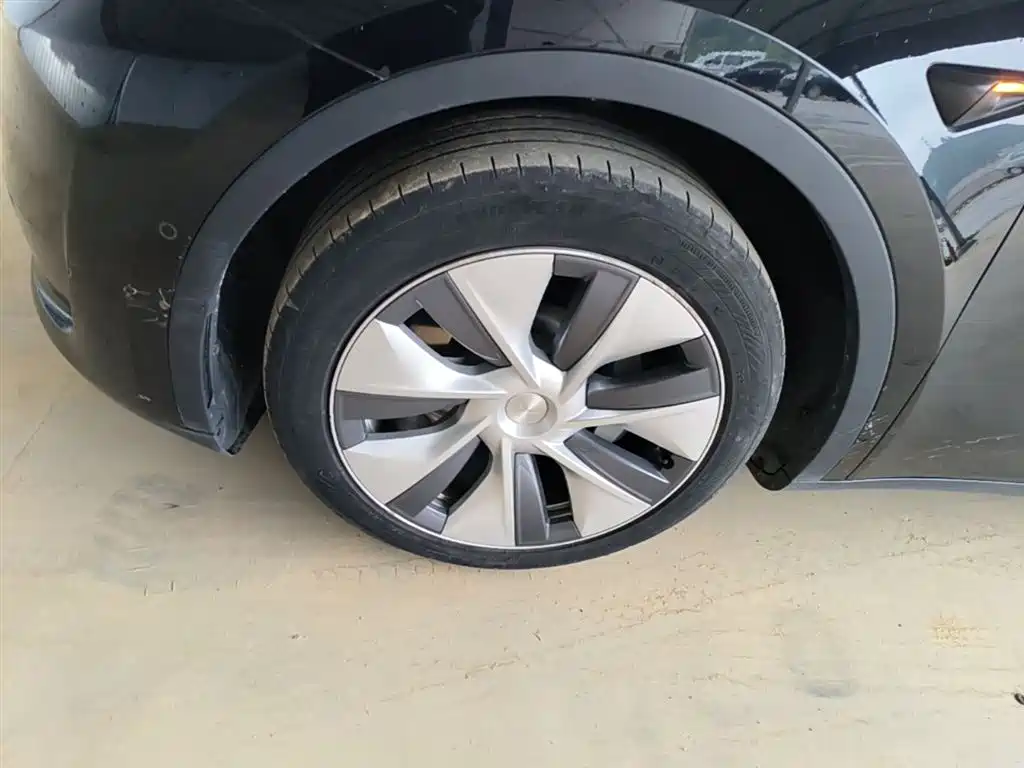 Tesla Model Y — фото 23