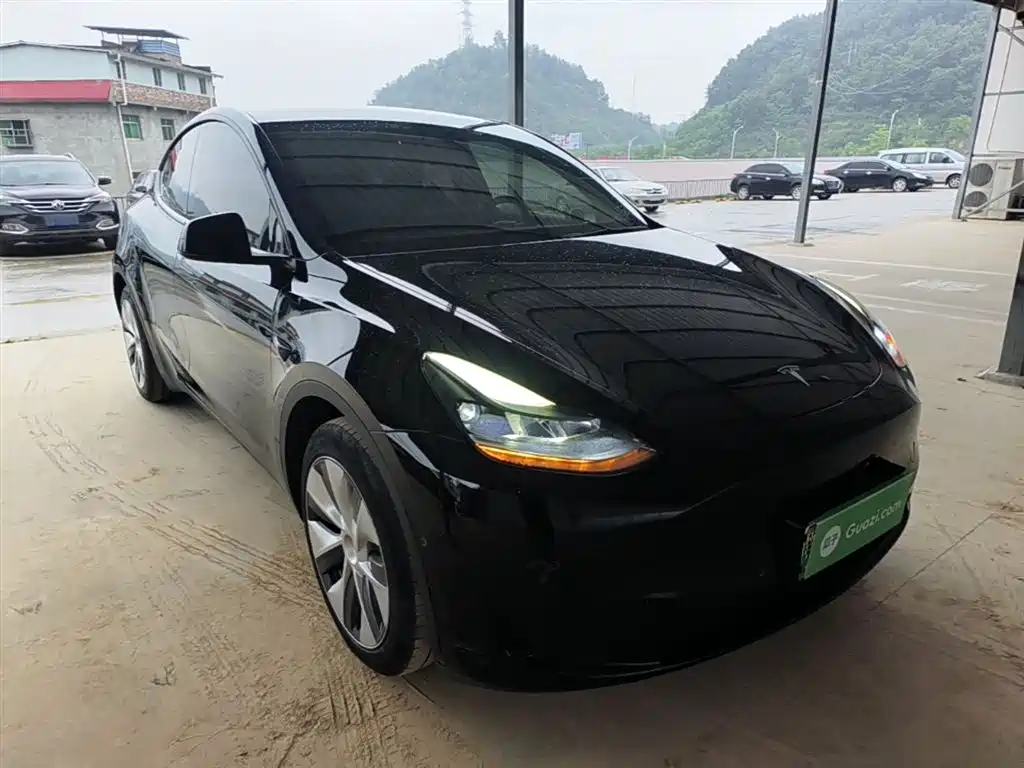 Tesla Model Y — фото 4