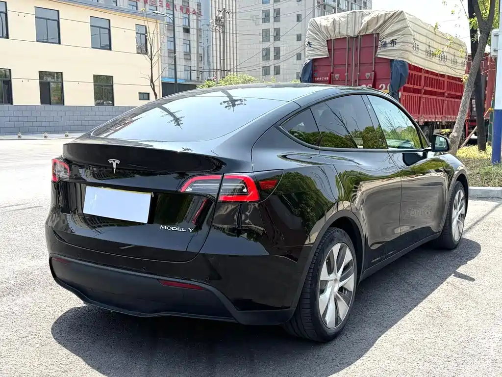 Tesla Model Y — фото 3