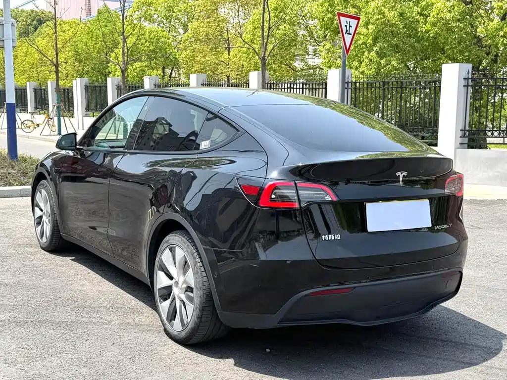 Tesla Model Y — фото 5
